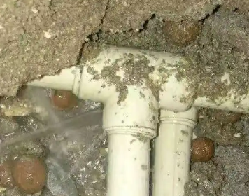 连云港市测漏水多少钱