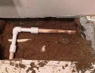 连云港市测漏水哪家好