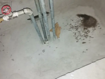 连云港市卫生间测漏水价格明细